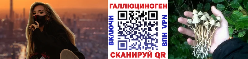 Галлюциногенные грибы MAGIC MUSHROOMS  Каспийск 